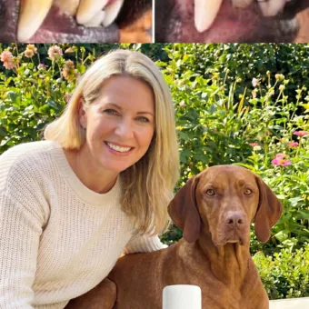Verified buyer Stephanie H.